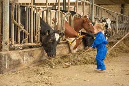 Boer Spierings Kinderdagverblijf 2
