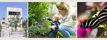 Kinderopvang Poppedeintje 3