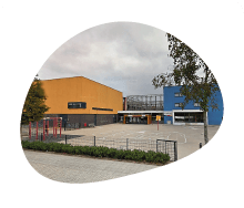 Babino BSO de Heidebijtjes 2