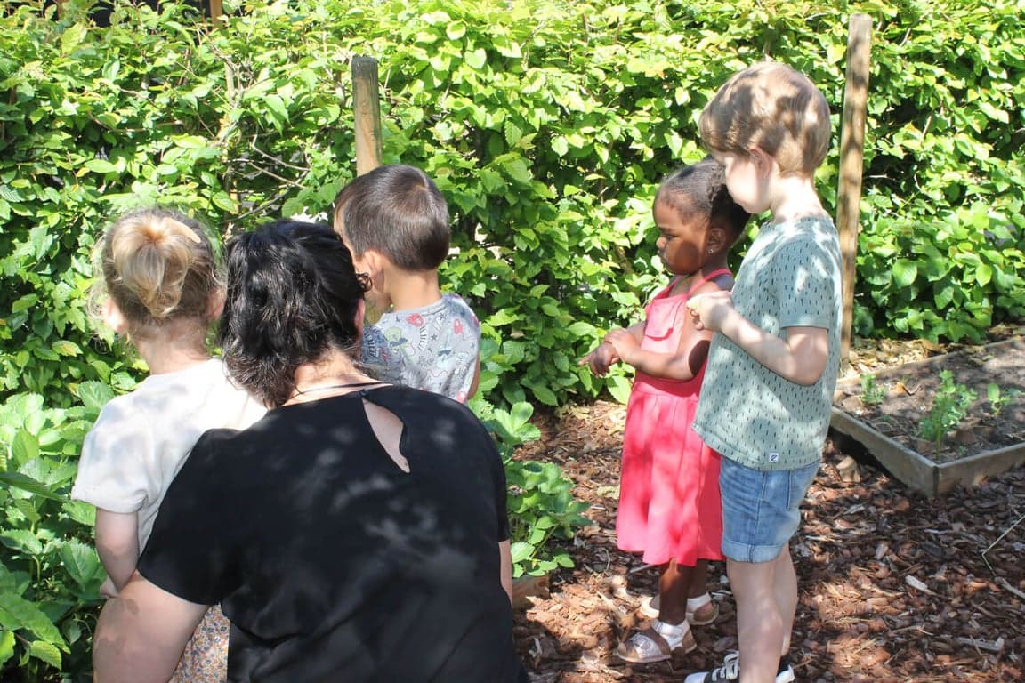 BSO Bzzzonder Nieuwland 3