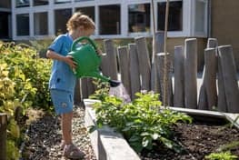 Okidoki Obrechtlaan 3