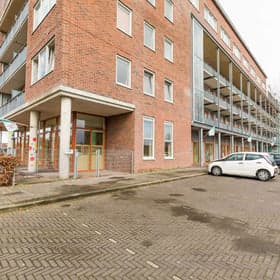 Het Schatjes & Schoffiesparadijs