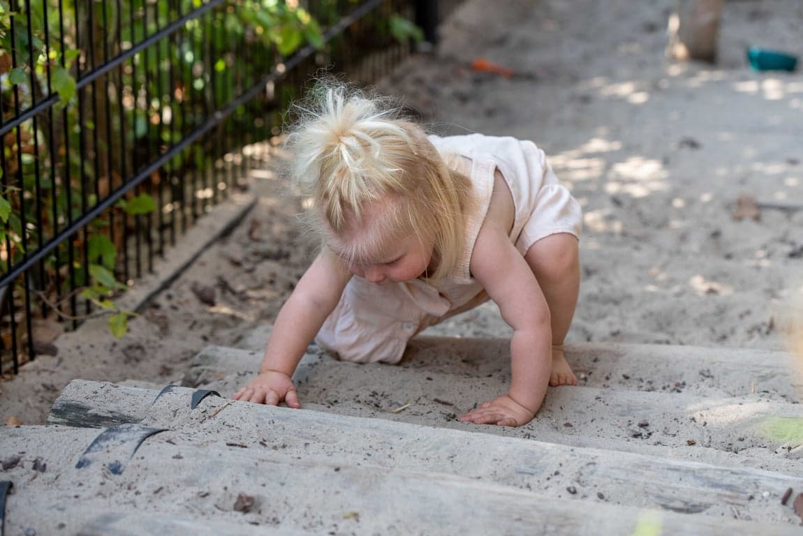 Biebelebons Voorveldselaan 3