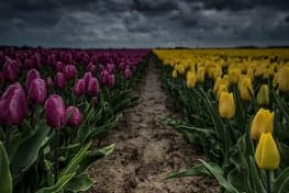 Peuterspeelgroep Boerderij de Zonnestraal