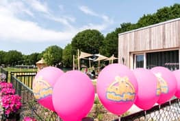 Wee-Play Montfort BSO 3