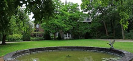 Natureluur BSO in het bos Haelen