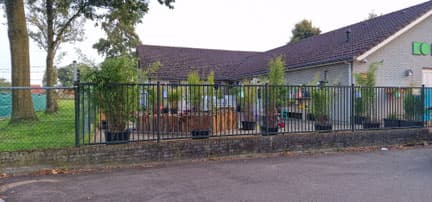 Natureluur BSO in het bos Haelen 2