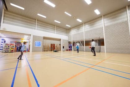 Doomijn BSO Speelhonk