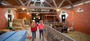 Doomijn Peuteropvang Schellerpark 2