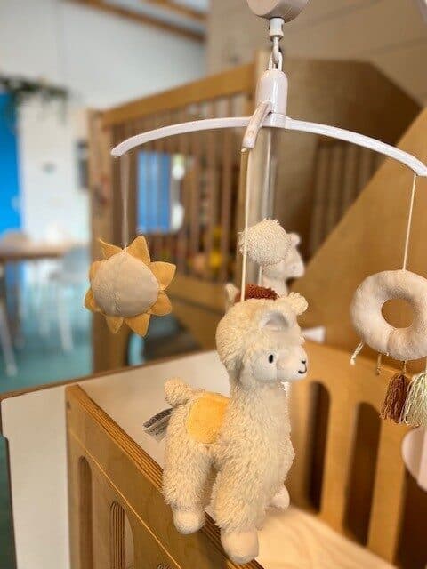 HOPPAS Andel Gezetstraat 3