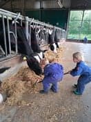 Kinderopvang Tierelier 2