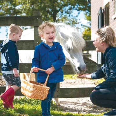 Helden Opvang Spinnerie 2