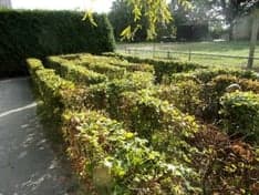 BSO Coevorden Het Ganzennest 2