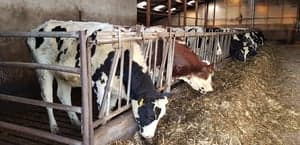 Kinderdagverblijf 't Werfje 2