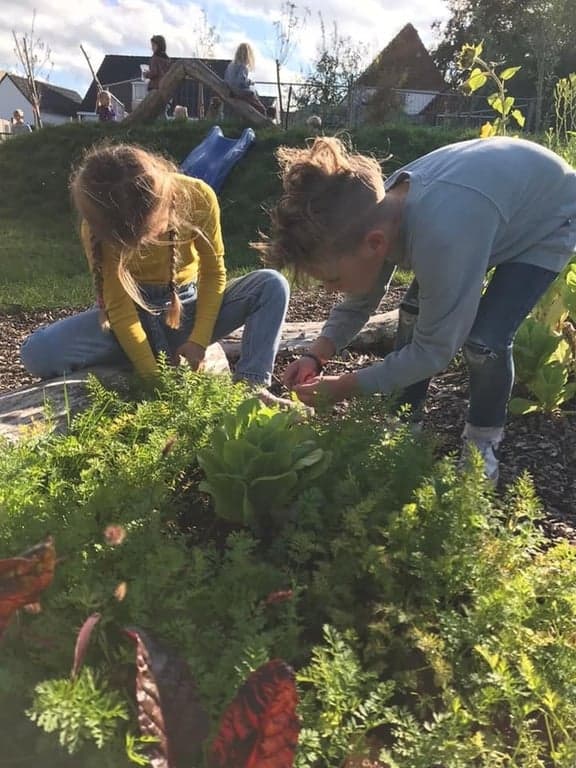 Kinderopvang Joepie de Poepie 3