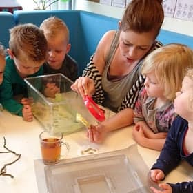 Klein maar Dapper De Kreek 3